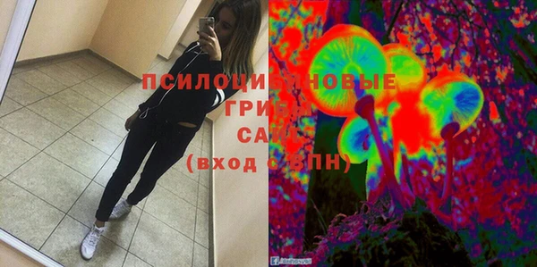таблы Богородицк