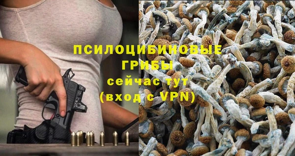 хмурый Богородск