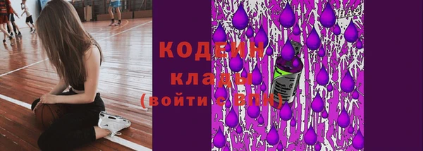 таблы Богородицк