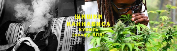 каннабис Богданович